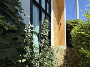 Listing image 30 for Modern Family Home for Rent | Bangjo, Cherngtalay, Phuekt, Thailand