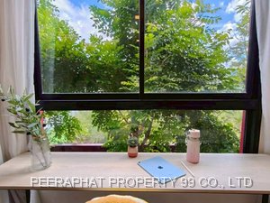 Listing image 23 for THE BASE BUKIT PHUKET, Thailand