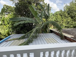 Listing image 12 for House For Rent🏡@Wichit, Phuket