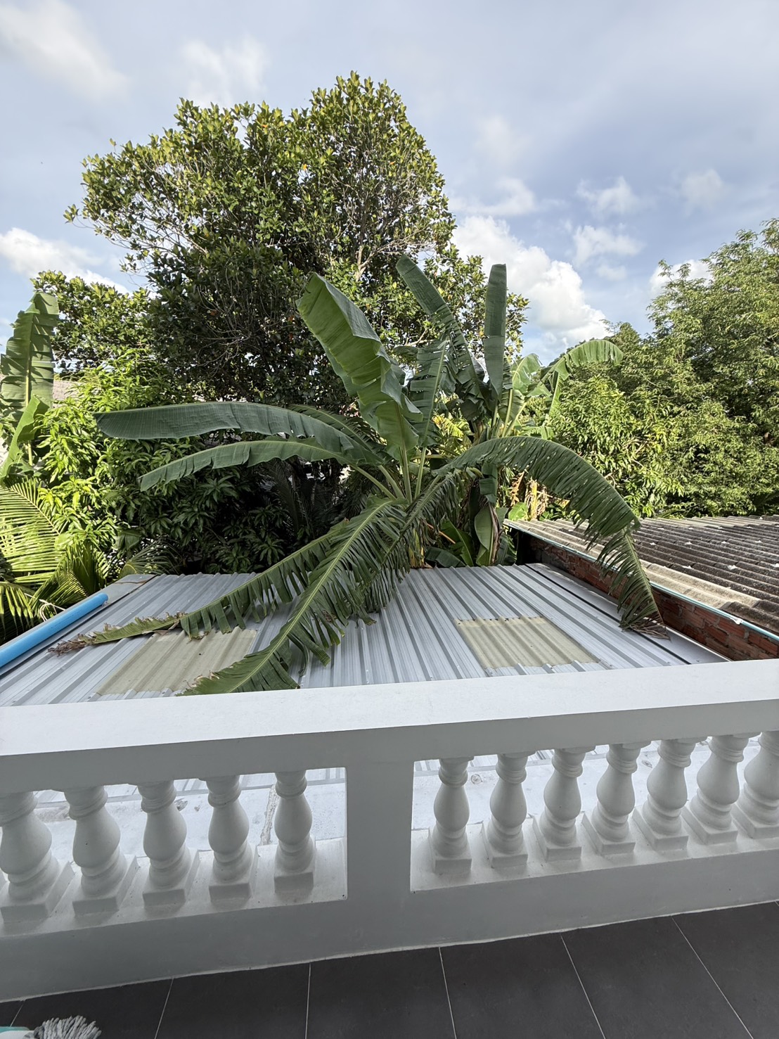 Listing image 12 for House For Rent🏡@Wichit, Phuket